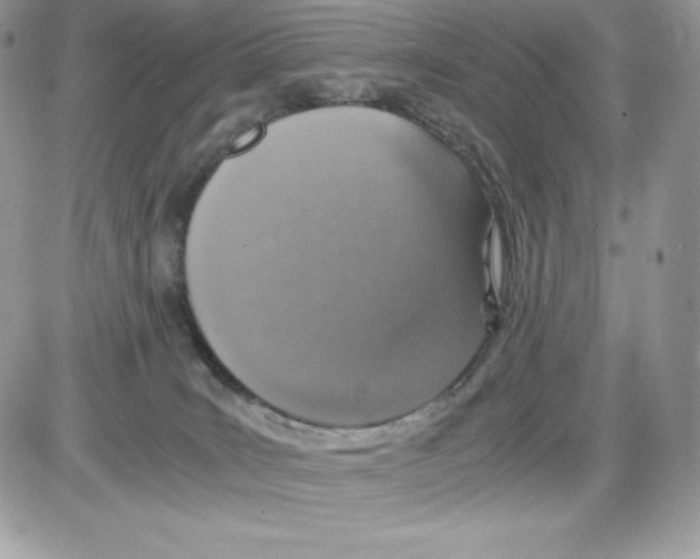 X0000085810035200704131958