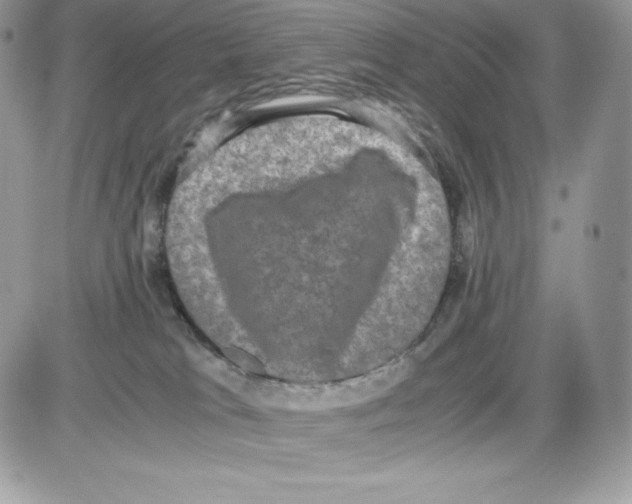 X0000085810037200704131958