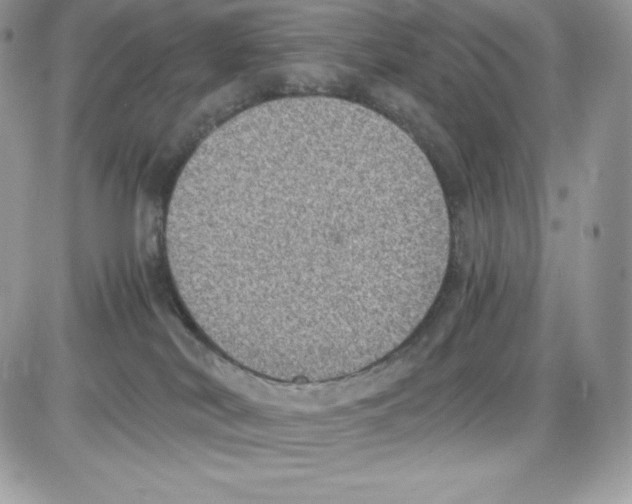 X0000085810038200704131958