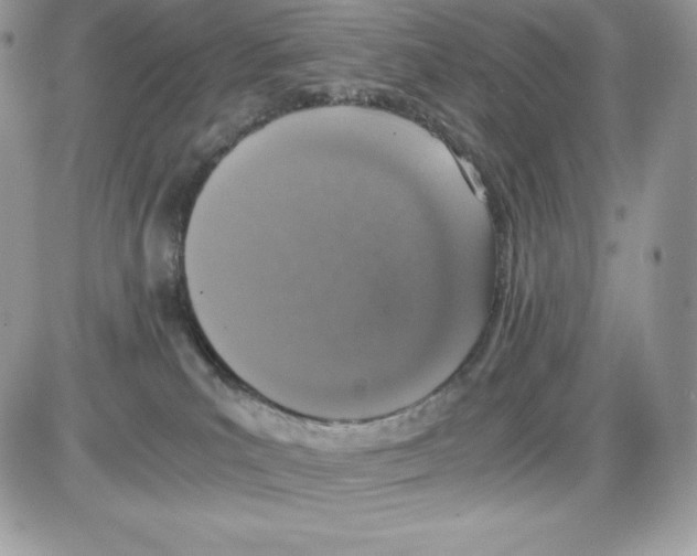 X0000085810039200704131958