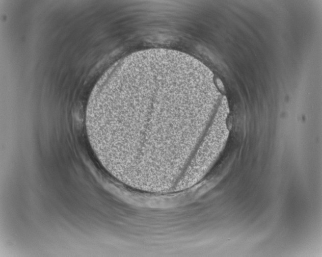 X0000085810040200704131958