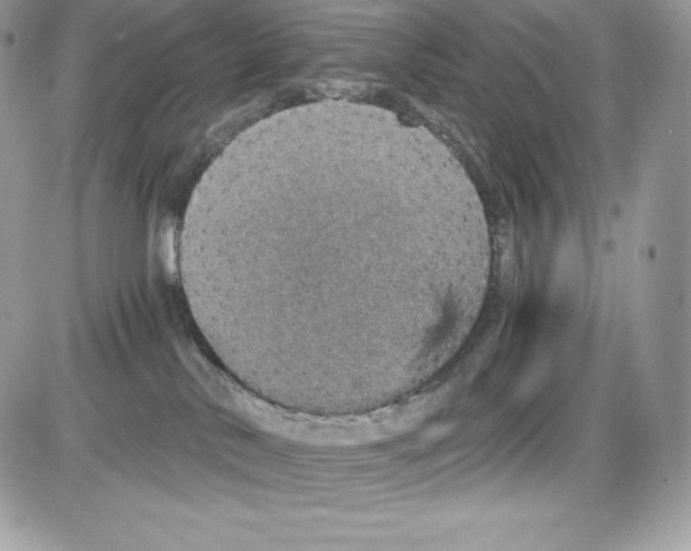 X0000085810042200704131958