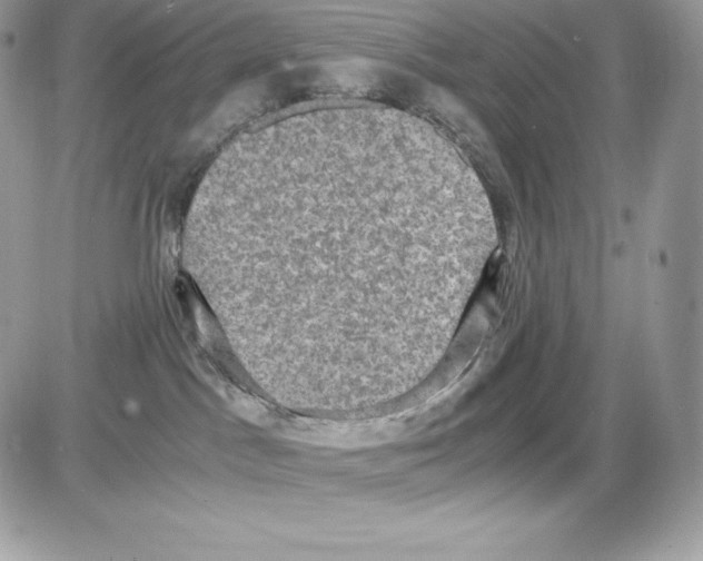 X0000085810045200704131957