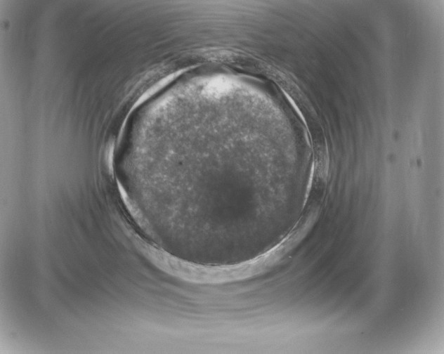 X0000085810047200704131957