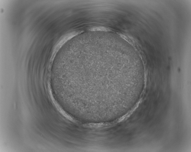 X0000085810049200704131957