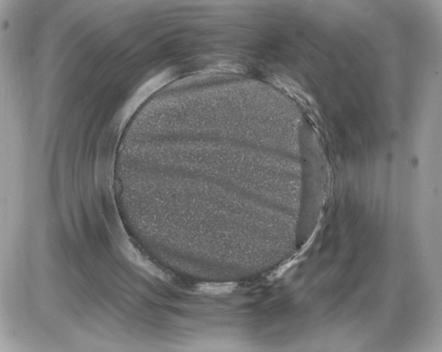 X0000085810051200704131957