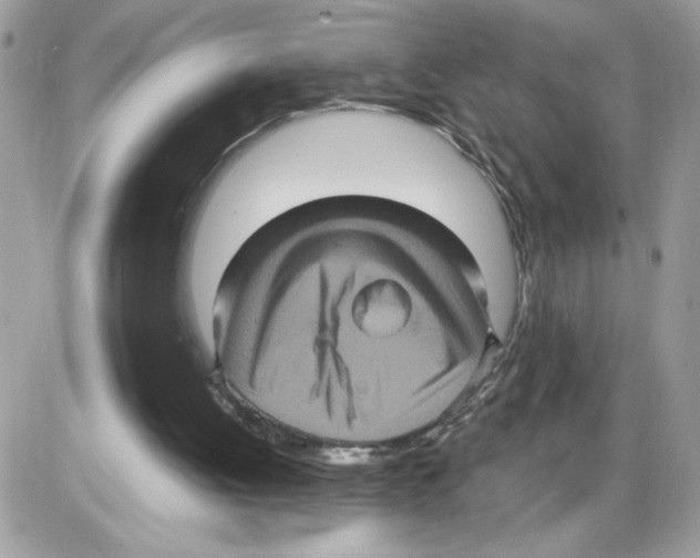 X0000085810052200704131957