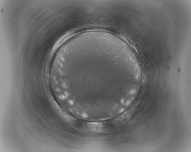 X0000085810053200704131957