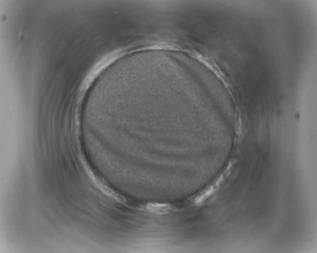 X0000085810055200704131957