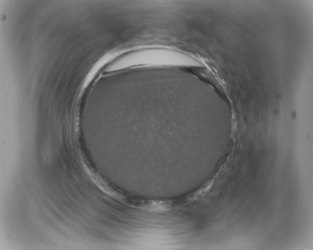 X0000085810056200704131957