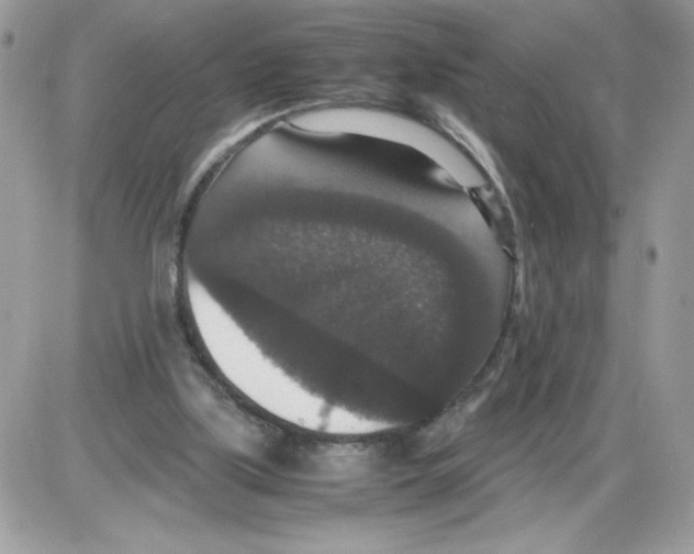 X0000085810059200704131957