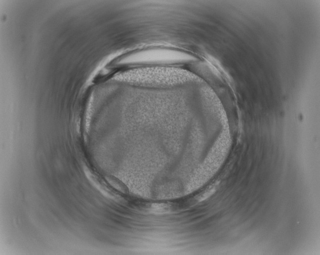 X0000085810060200704131957