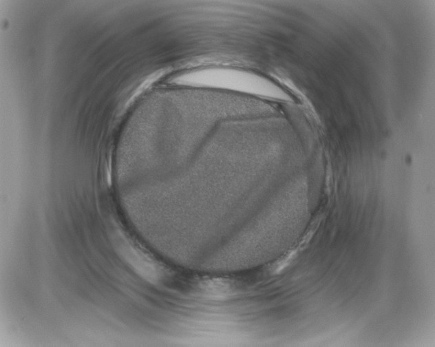 X0000085810062200704131957