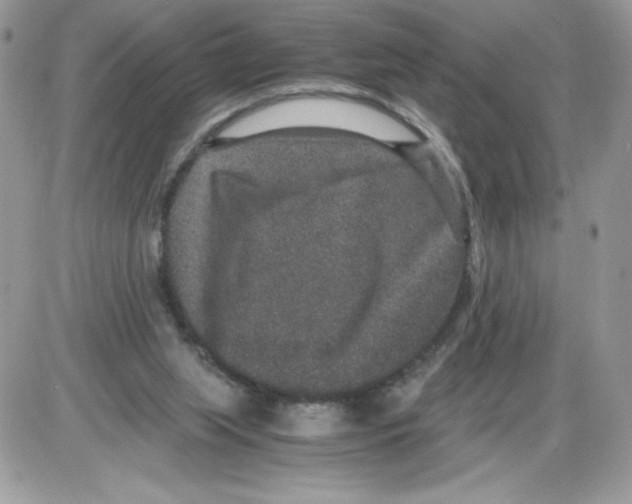 X0000085810063200704131957