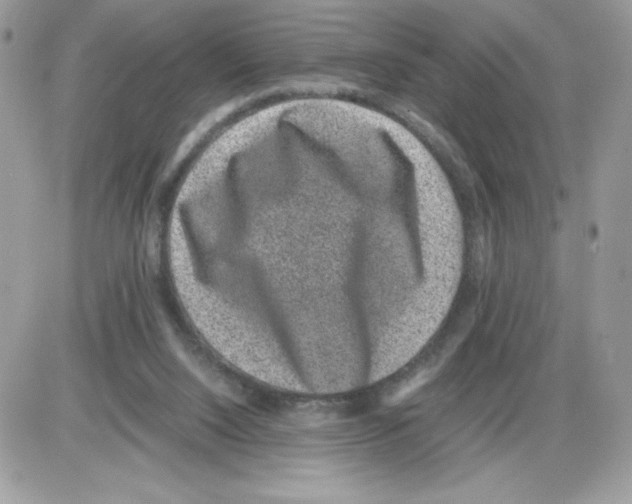 X0000085810064200704131957