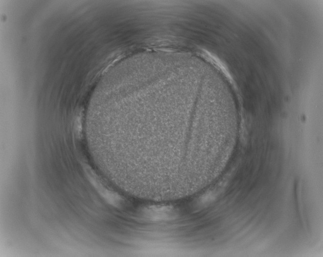 X0000085810065200704131957