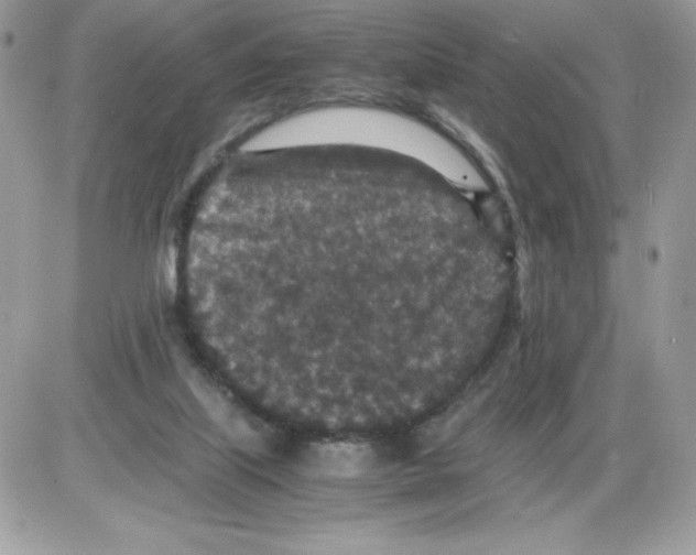 X0000085810067200704131957