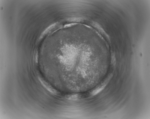 X0000085810068200704131957