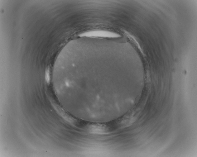 X0000085810069200704131957