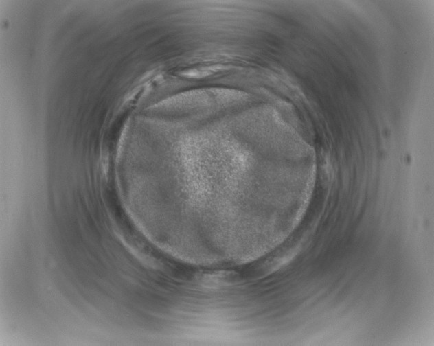 X0000085810072200704131957