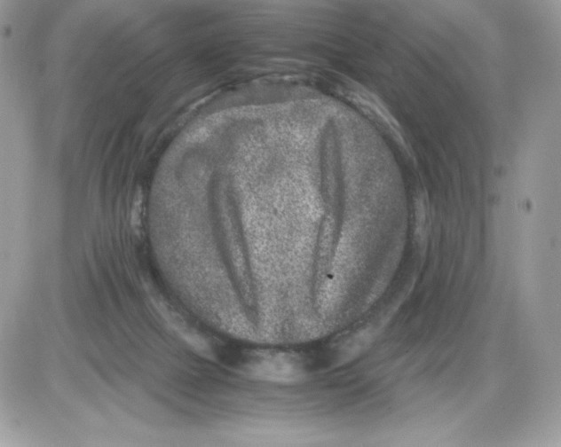 X0000085810073200704131957