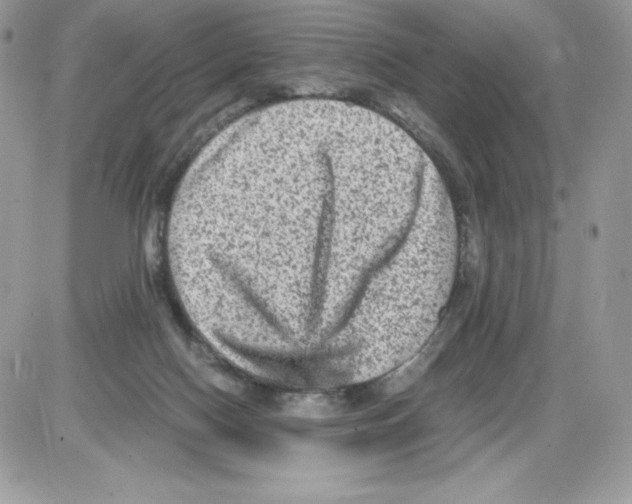 X0000085810074200704131957