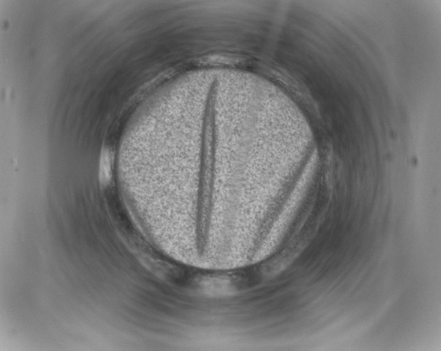 X0000085810075200704131957