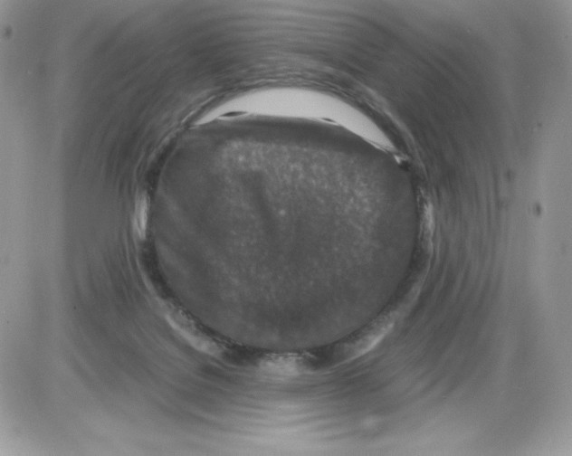 X0000085810076200704131957