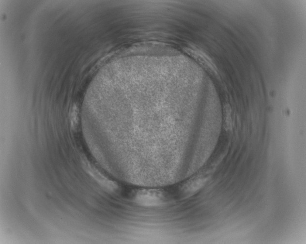 X0000085810077200704131957