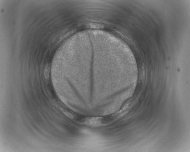 X0000085810078200704131957