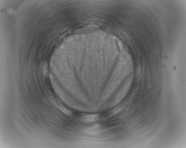 X0000085810081200704131957