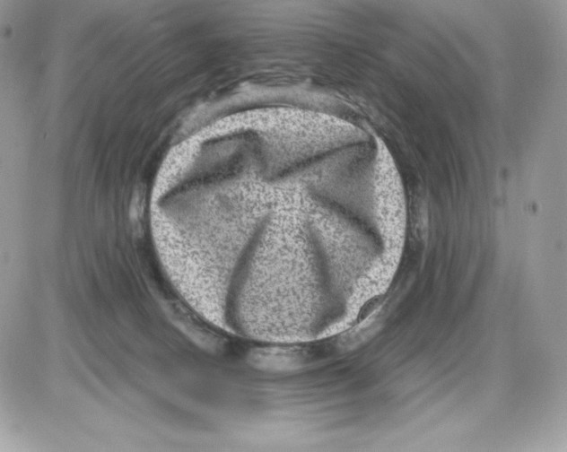 X0000085810082200704131957