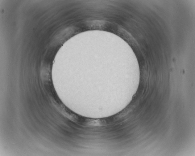 X0000085810083200704131957