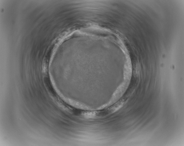 X0000085810084200704131957