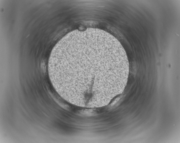 X0000085810086200704131957