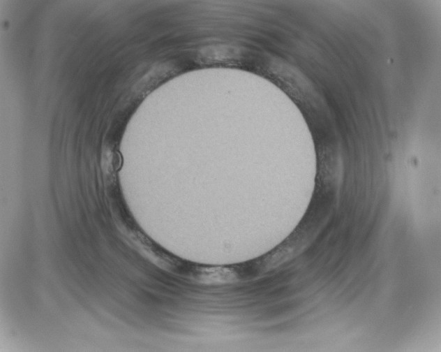 X0000085810087200704131957