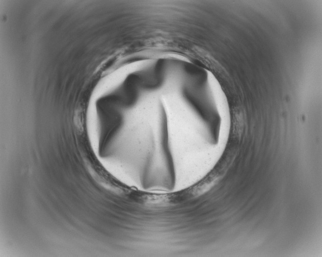 X0000085810088200704131957