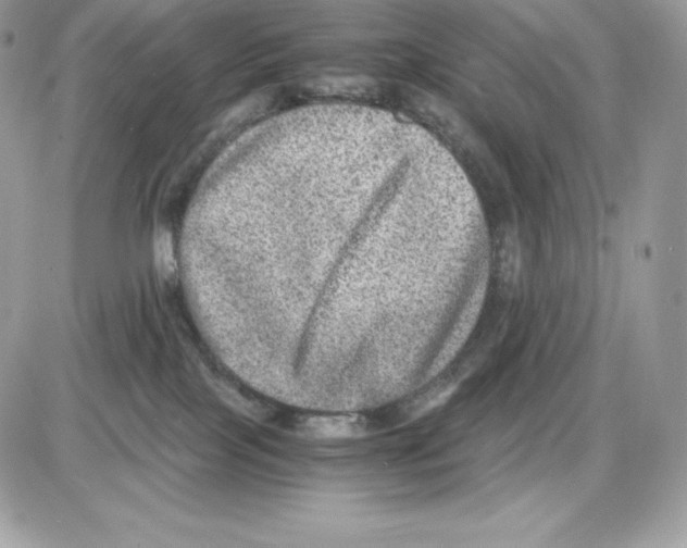 X0000085810089200704131957