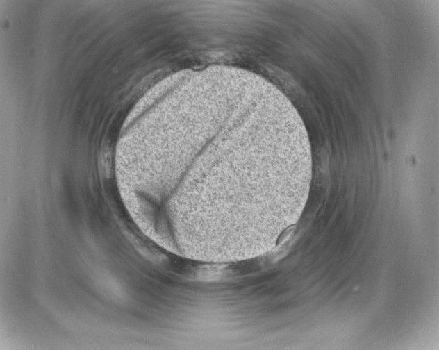 X0000085810090200704131957