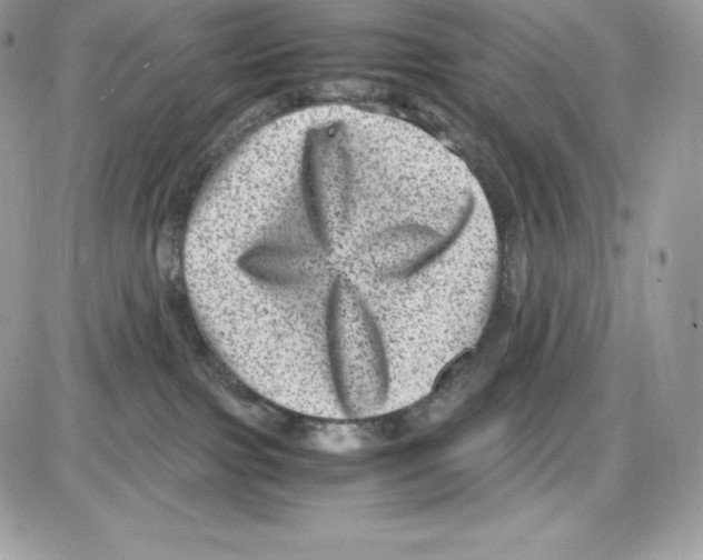 X0000085810091200704131957