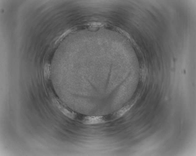 X0000085810093200704131957