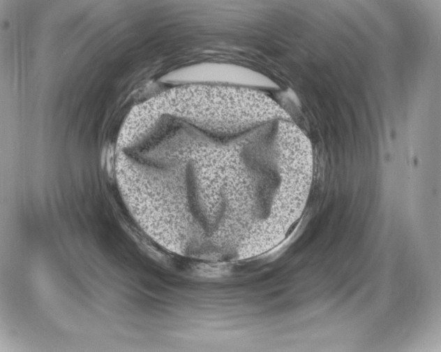 X0000085810094200704131957