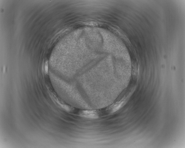 X0000085810095200704131957