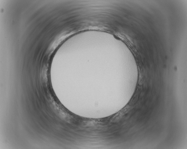 X0000085810098200704131957