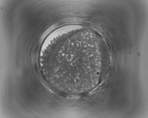 X0000085810099200704131957