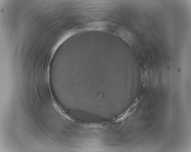 X0000085810100200704131957