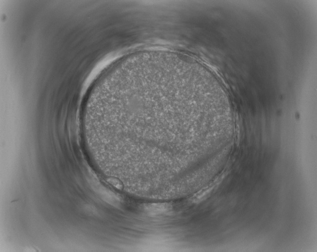 X0000085810102200704131957