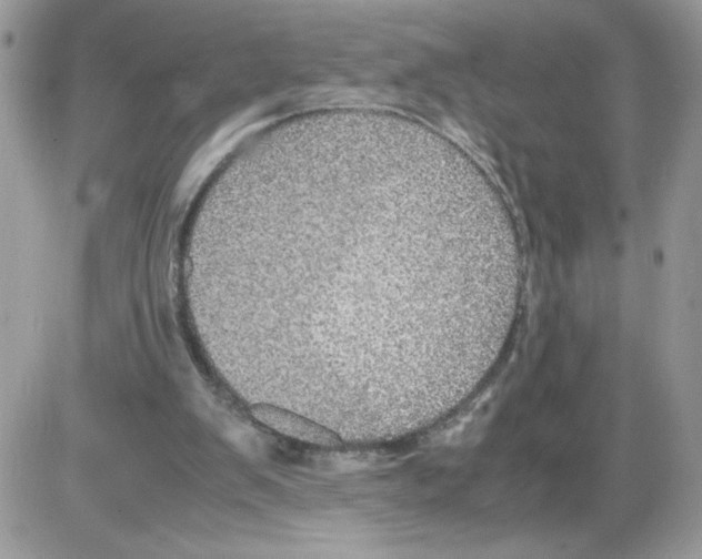 X0000085810103200704131957