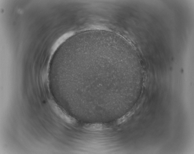 X0000085810104200704131956