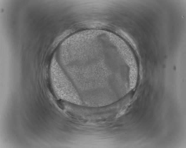 X0000085810105200704131956